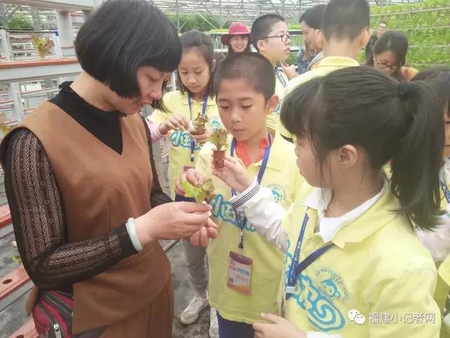 【圍觀】福建小記者走進(jìn)農(nóng)場體驗(yàn)農(nóng)耕樂趣