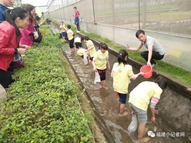 【圍觀】福建小記者走進(jìn)農(nóng)場體驗(yàn)農(nóng)耕樂趣