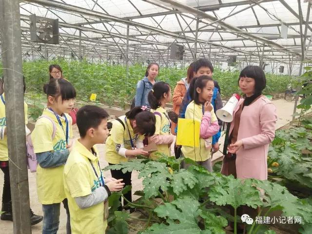 【圍觀】福建小記者走進(jìn)農(nóng)場體驗(yàn)農(nóng)耕樂趣