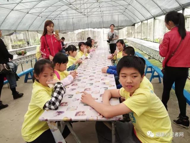 【圍觀】福建小記者走進(jìn)農(nóng)場體驗(yàn)農(nóng)耕樂趣