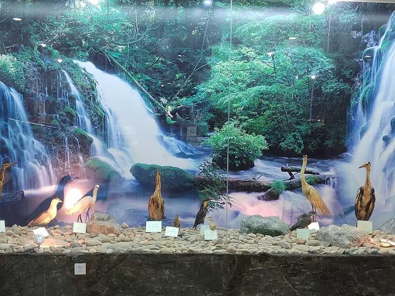 動植物標本分館