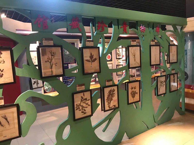 動植物標本分館