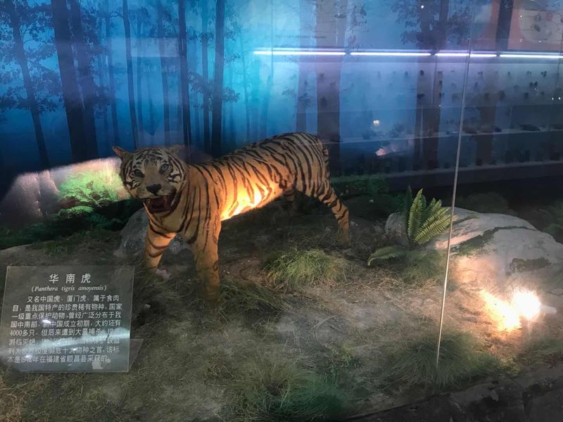 動植物標本分館