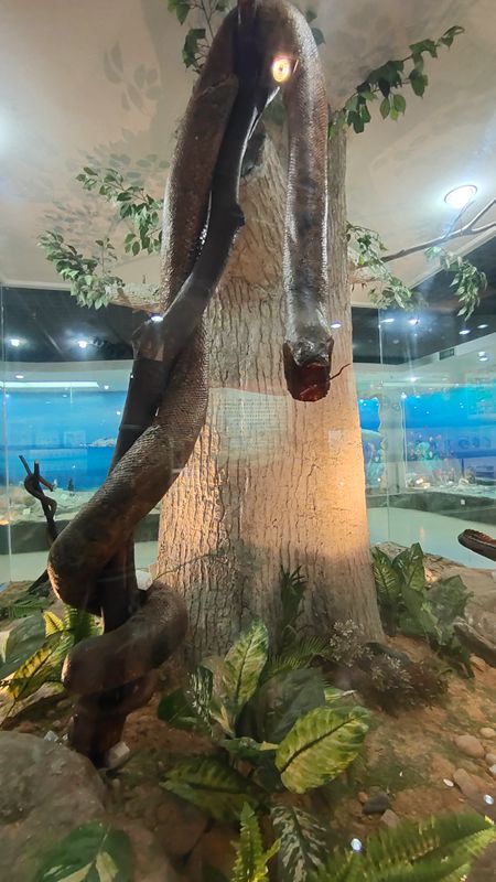 動植物標本分館
