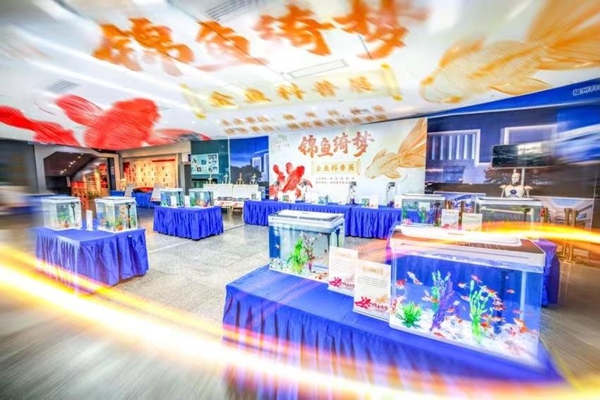 正月初三，就來(lái)福州科技館！新春科普游園活動(dòng) “龍”重回歸