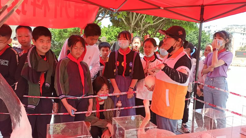 福州動物園參加科普進校園系列活動（金山中學）