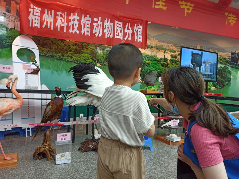 福州動(dòng)物園參加端午節(jié)科普活動(dòng)