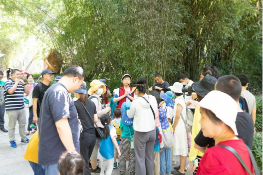 福州植物園舉辦“童眼觀生態”之“竹”夠有趣科普課堂活動
