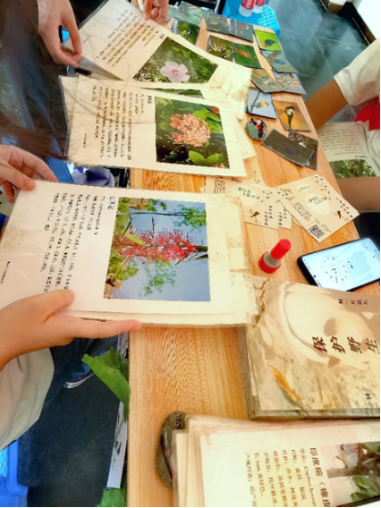 “喜迎二十大，科普向未來”2022年全國科普日活動——推動野生動植物，推進生態文明建設