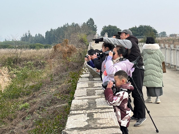 閩江河口濕地舉行“2024年世界濕地日｜濕地與人類福祉”主題研學活動