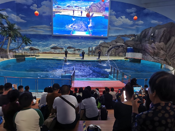 “研學海洋館 樂趣春游行”研學活動