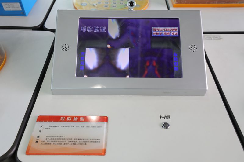 對稱臉型