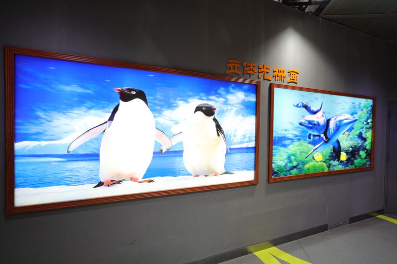 立體光柵畫 立體光柵畫