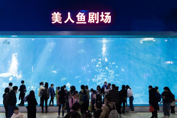 2023年福州科技館分館游學(xué)系列活動暨3.3“世界野生動植物日——野生動植物保護(hù)伙伴關(guān)系之中華白海豚傘護(hù)效應(yīng)”活動簡報