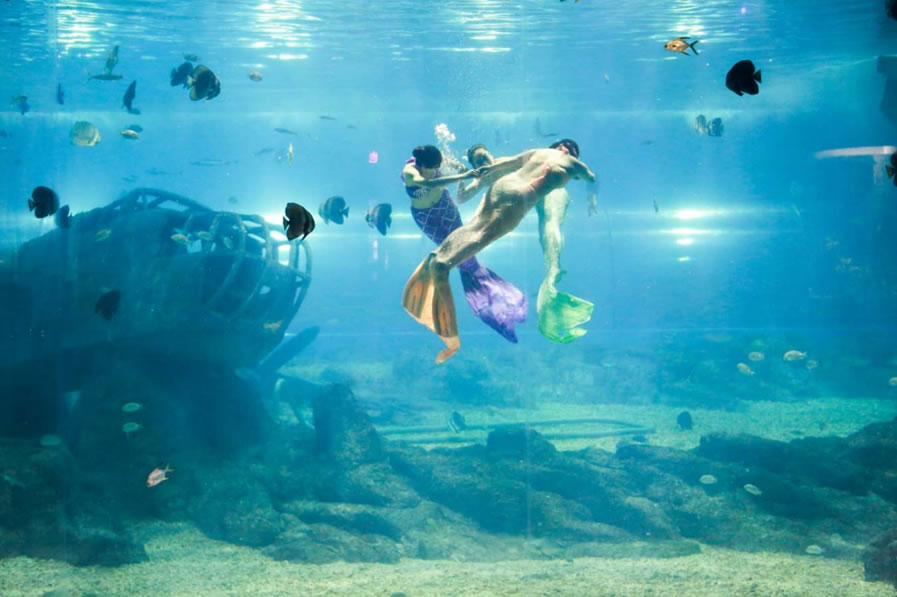 海洋知識分館