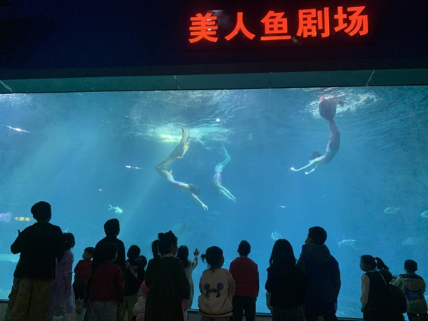 2023年福州科技館分館游學系列活動暨3.3“世界野生動植物日——野生動植物保護伙伴關系之中華白海豚傘護效應